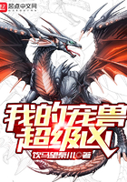 鼠来宝2