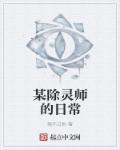 已完结的奶爸小说