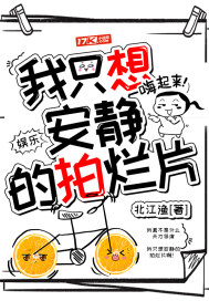 磁力蚂蚁
