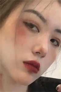宠物小精灵dp
