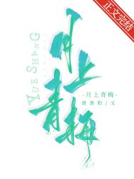 柠檬初上
