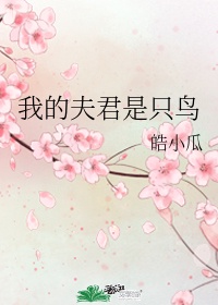 人体写真网