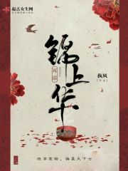 面包树上的女人小说