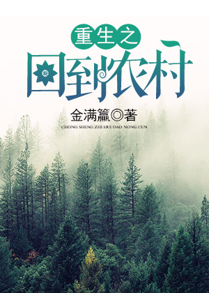 重生风起2024