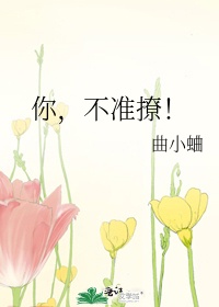 电视剧惊弦全集免费观看