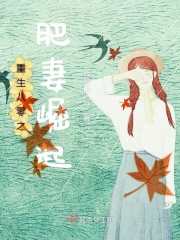 穿越之家有小夫郎