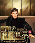 特黄的一级小说