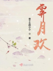 沉沦女律师洛云全文