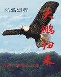 都市乱情