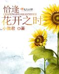 嗜瘾小说