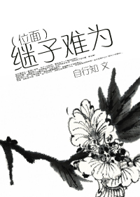 黑之契约者2