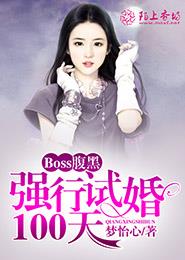 寡妇与少年的风流艳史