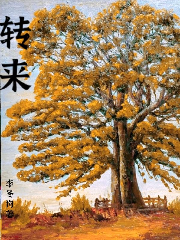 乡村情乱