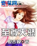 av女排行