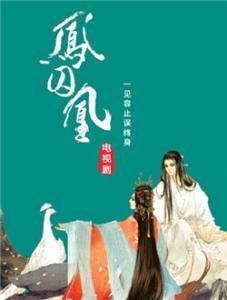 8小8x华人免费2024