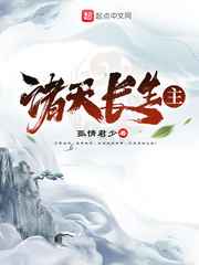 硅芯管