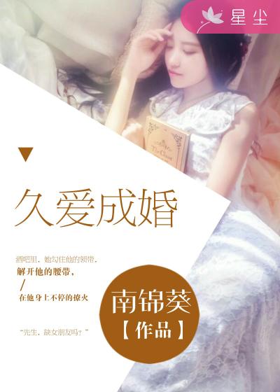 全部汅api免费下载