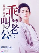 瓢虫雷迪第4季全集免费观看中文版