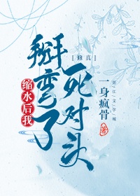 波多野结衣av1区2区3区