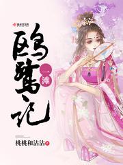 青岛红盾网