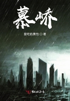 办公室白领系列合集小说