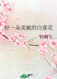 侯府继室夫人日常