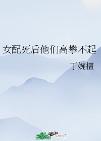 神雕侠侣古天乐版国语免费看