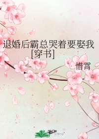 虚有其表小说txt