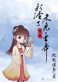 爱妻小说