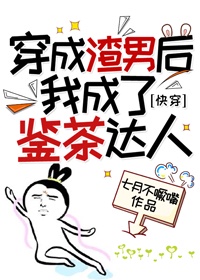 日皮看到球和皮