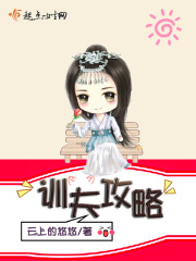 空姐前规则高清在线观看