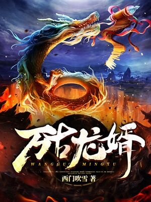 杨泽涛官场笔记免费阅读