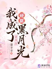 口袋妖怪日月
