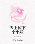 套路社交app官网
