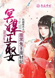 赛风加速器