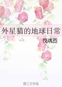 功夫熊猫4