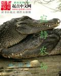 秘书高h