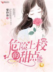 平凡之路电视剧免费观看完整版高清