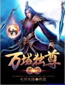 卫风小说