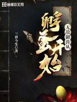 起点数据网页版