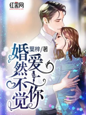 深夜小网站