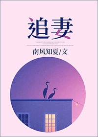 上门女婿叶辰小说
