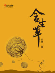 权利征途