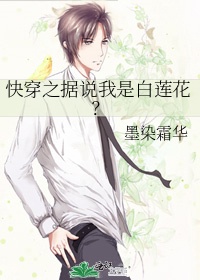 老夫少妻的互撩日常 小说
