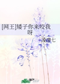 xy17. app