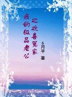 姐妹的诱惑小说