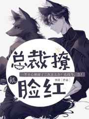 傲骨贤妻