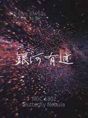 超级巴迪
