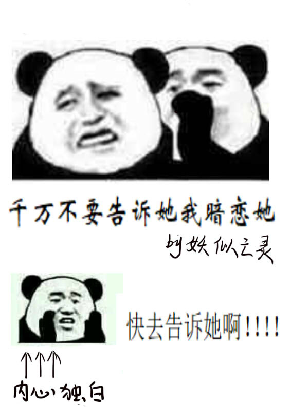 达客动漫网