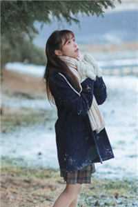 战恋雪 txt下载